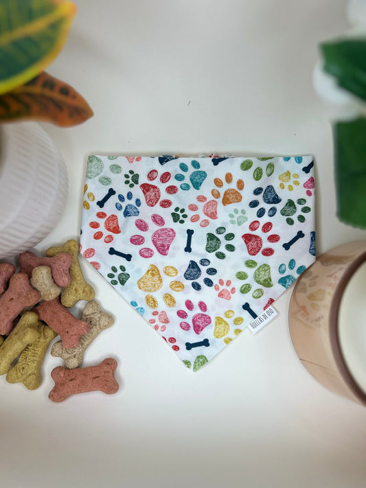 Pawfectly Colorful