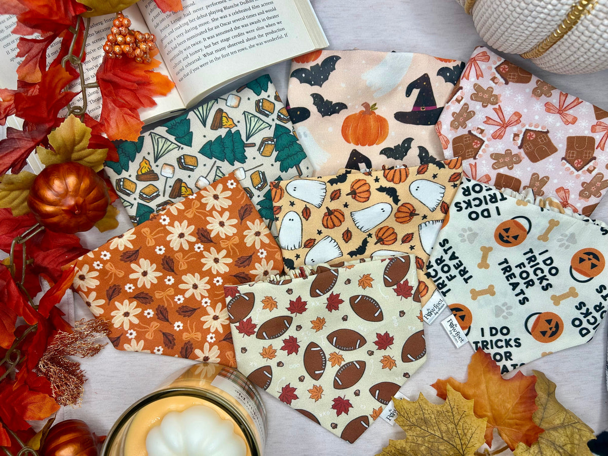 Fall Collection