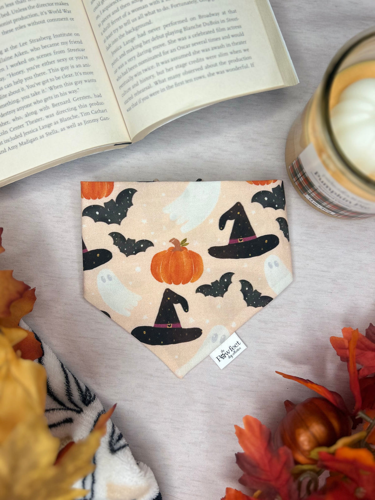 Witches and Whiskers Bandana