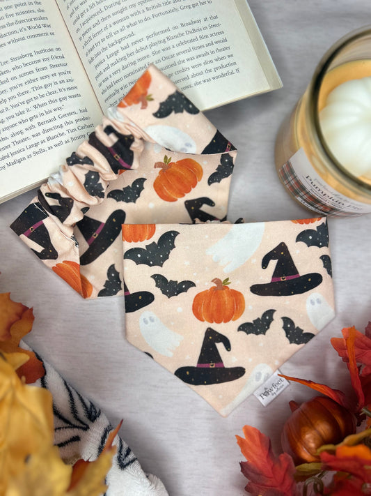 Witches and Whiskers Bandana