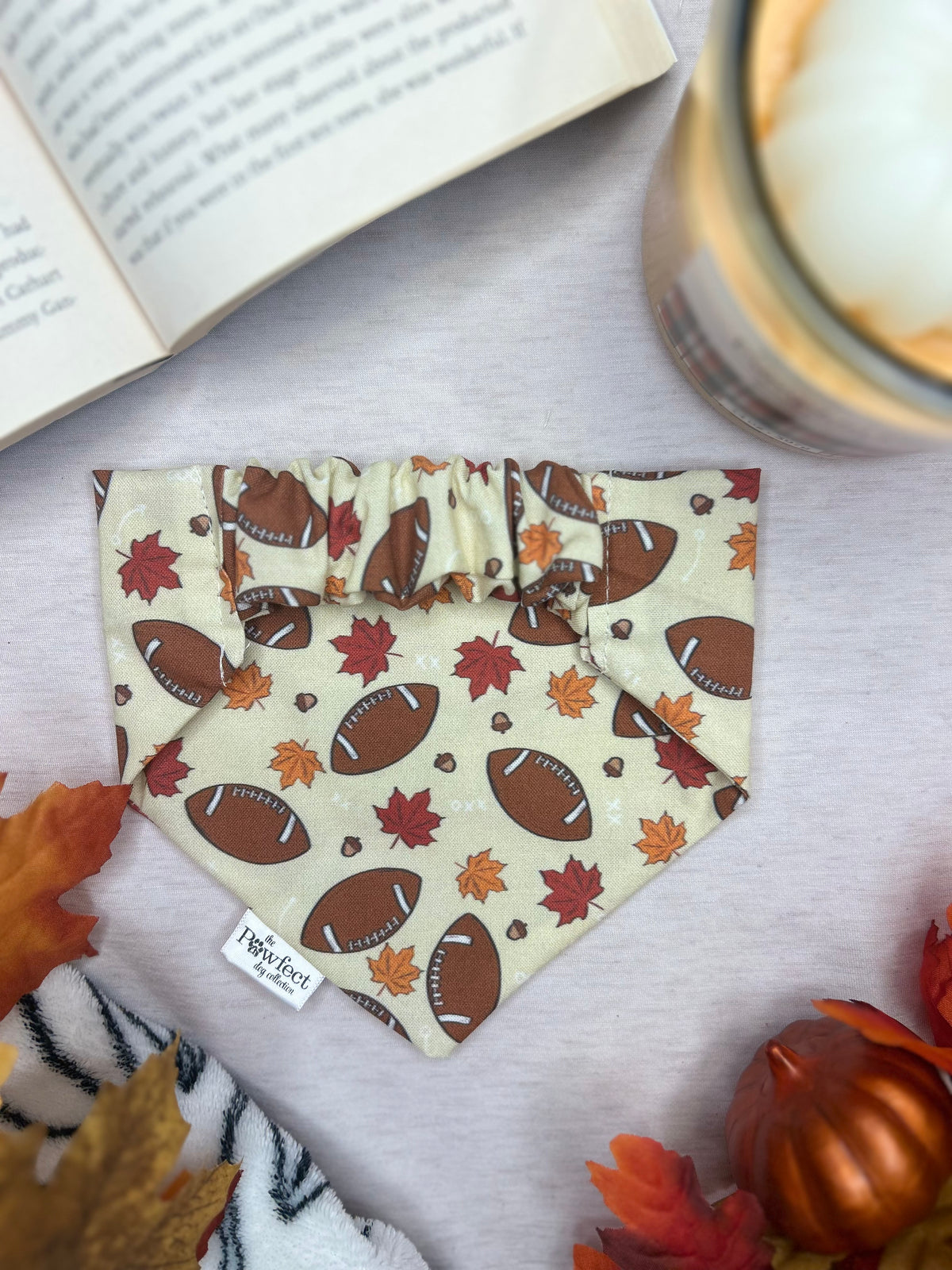 Fall Football Bandana