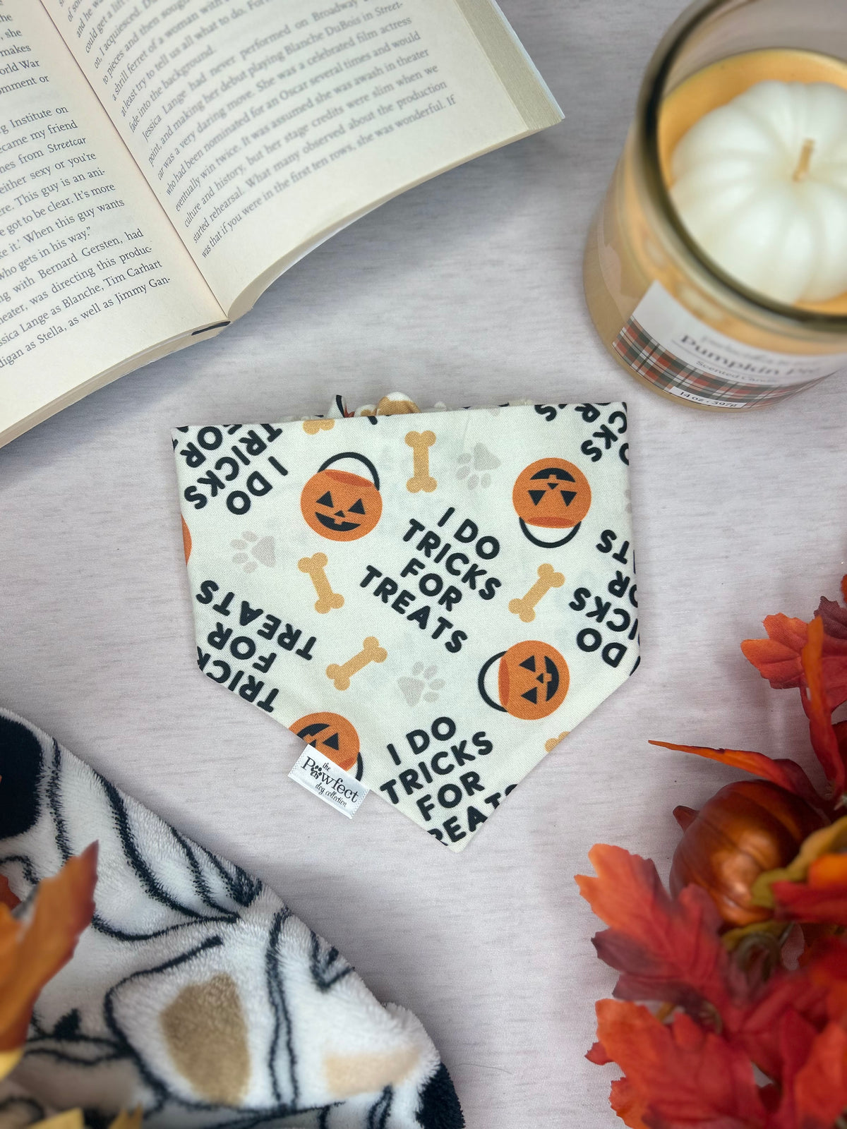 Spooky Pumpkin Paws Bandana