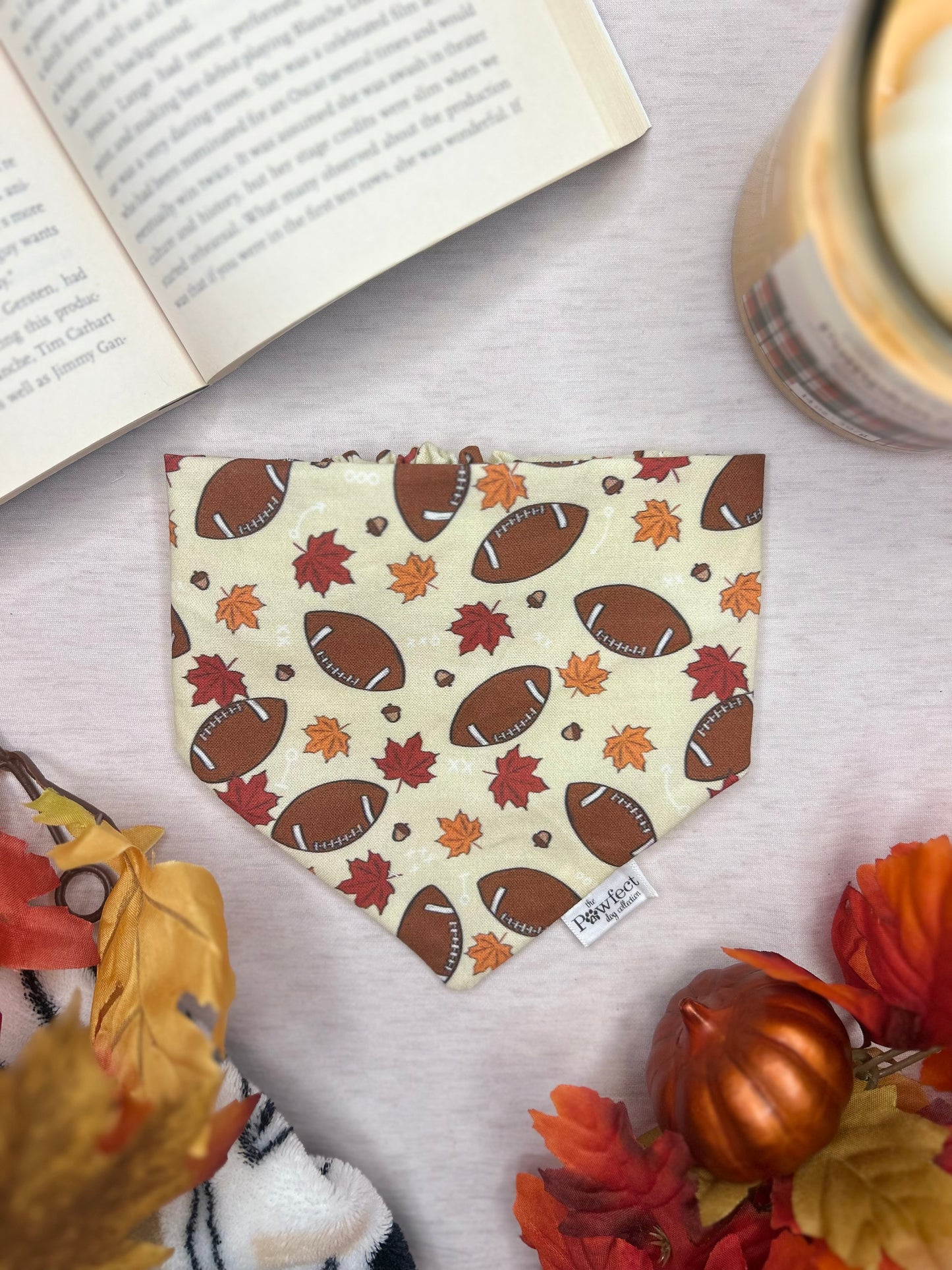 Fall Football Bandana