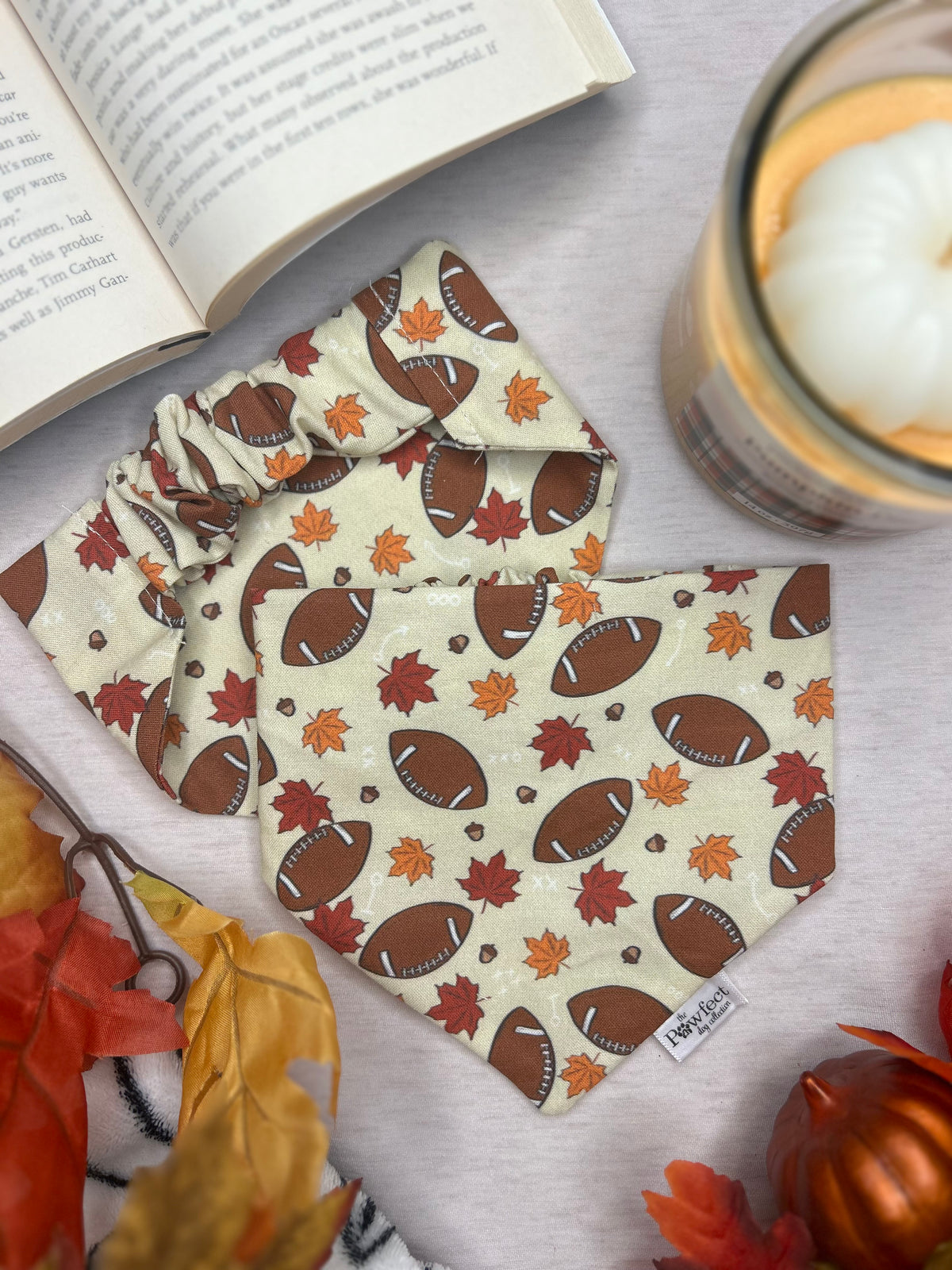 Fall Football Bandana