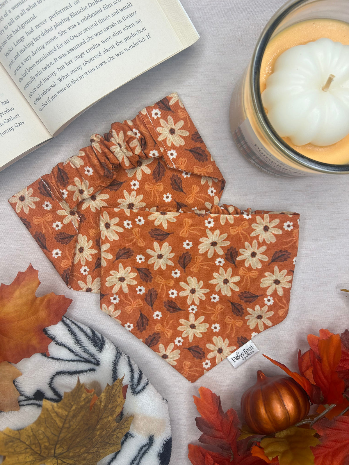 Autumn Daisy Bandana