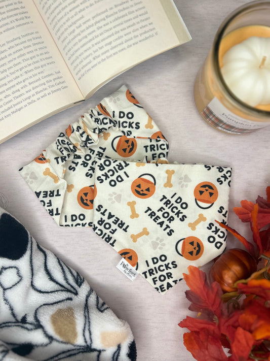 Spooky Pumpkin Paws Bandana