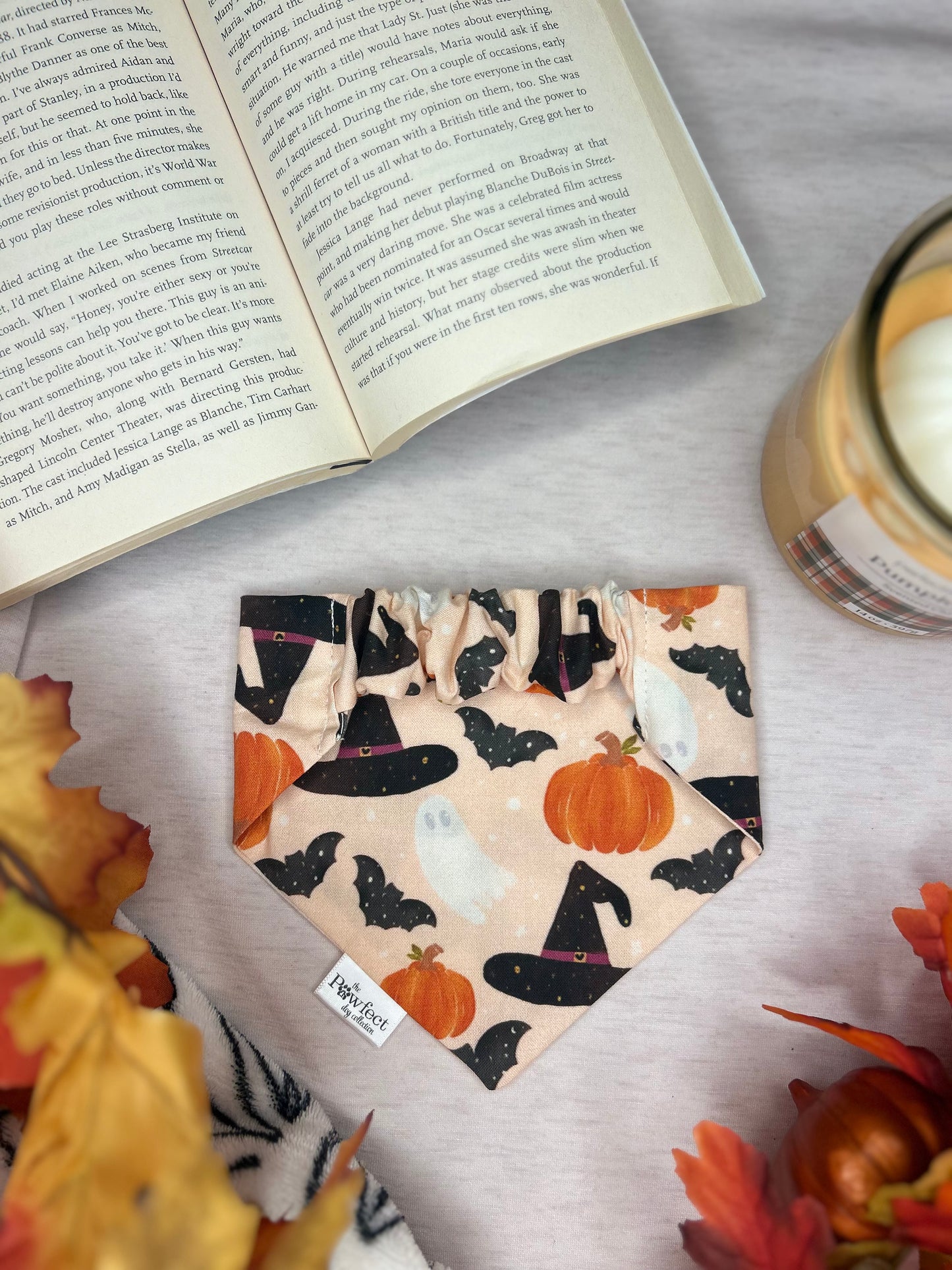 Witches and Whiskers Bandana