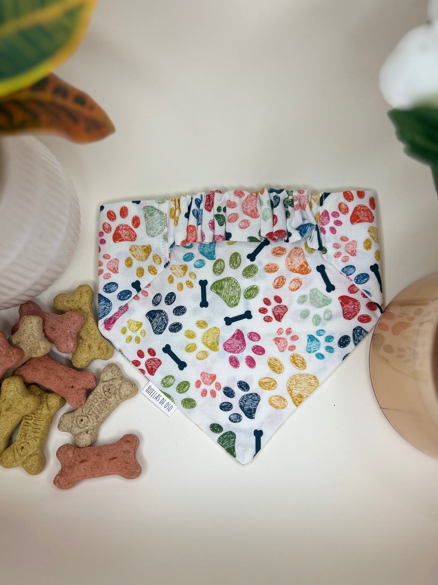 Pawfectly Colorful