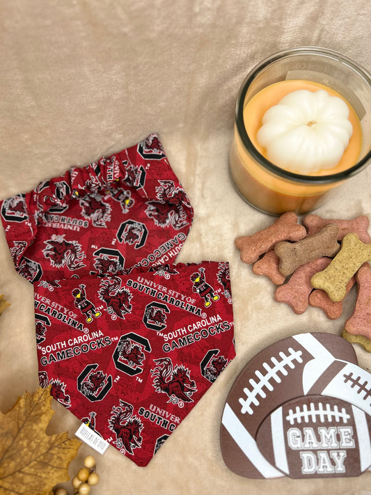 Gamecock Game Day
