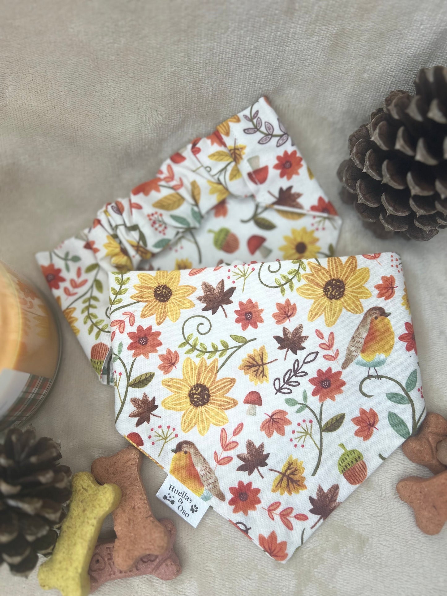 Autumn Bloom