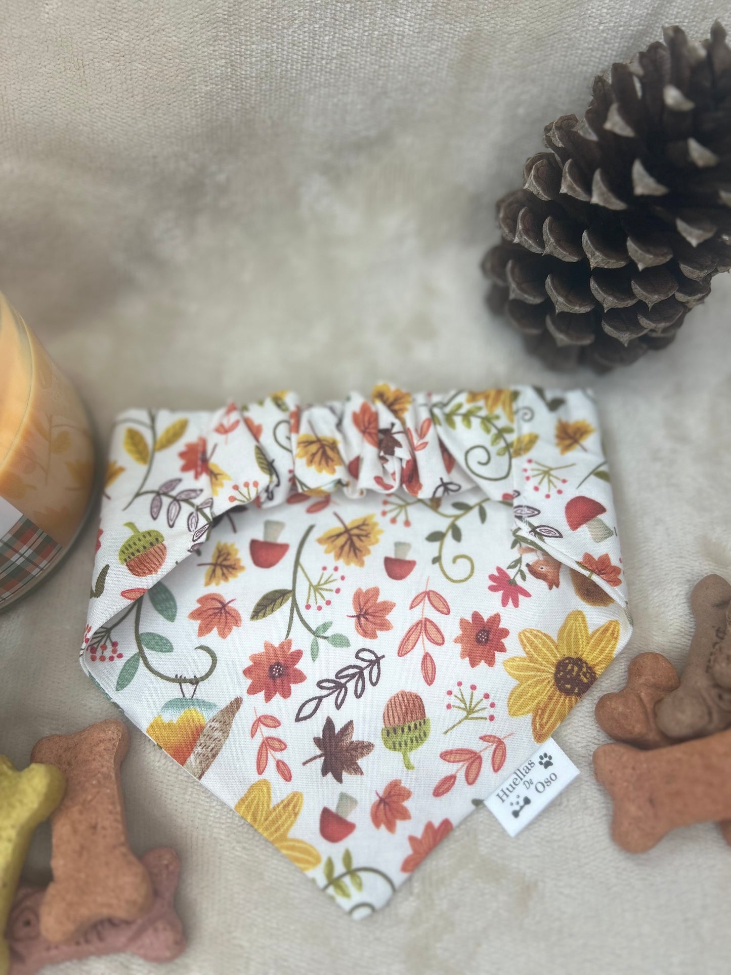 Autumn Bloom
